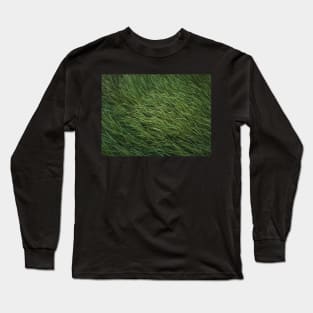 green grass sway in the wind Long Sleeve T-Shirt